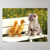 Das Ugly Duck Poster (Vorne)