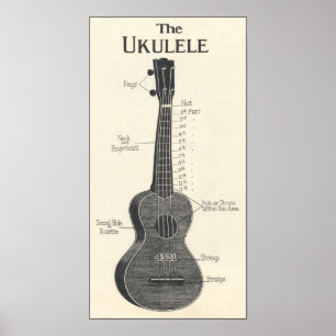 Das Ukulele Poster