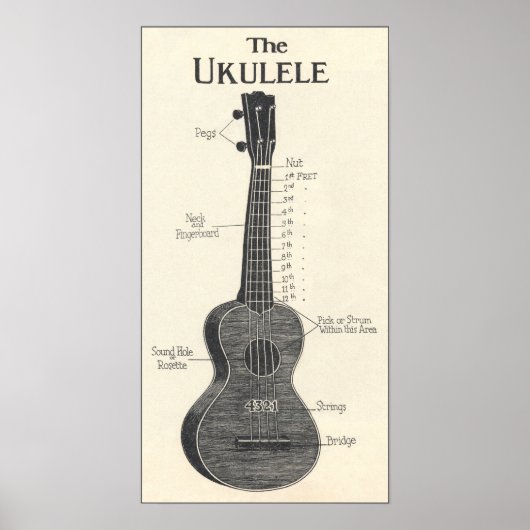 Das Ukulele Poster (Vorne)