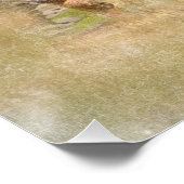 Das ungarische Drahthaar Vizsla Poster (Ecke)