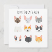 Das untergehende Denken der Katze am Geburtstag Karte (Vorderseite)