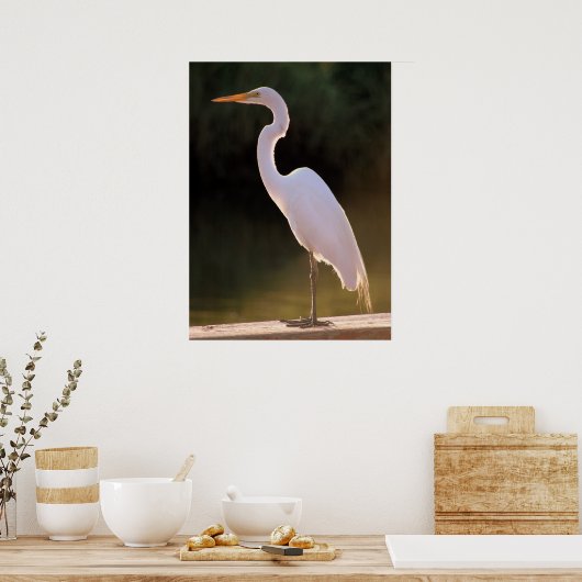 Das üppige Weiß Poster (Küche)