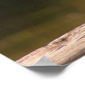 Das üppige Weiß Poster (Ecke)