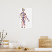 Das Urinsystem Poster (Küche)