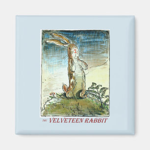 Das Velveteen Rabbit Magnet