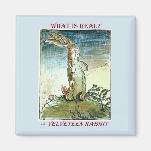 Das Velveteen Rabbit Magnet (Vorne)