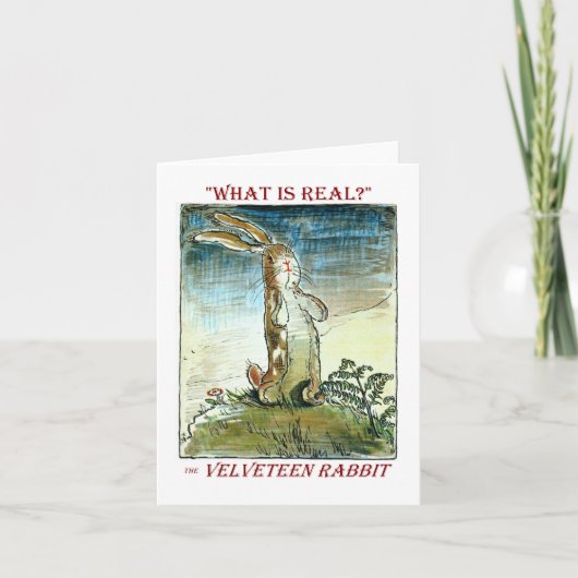 Das Velveteen Rabbit - Was ist real? (Vorderseite)