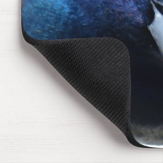Das verärgerte Grackle Mousepad (Ecke)