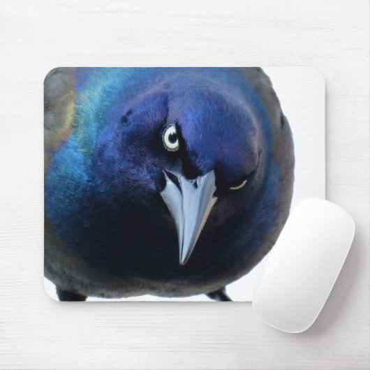 Das verärgerte Grackle Mousepad (Mit Mouse)