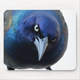 Das verärgerte Grackle Mousepad