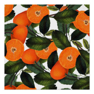 Das verbotene orange Plakat 20x20 Poster