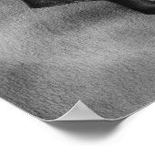 Das vergessene Poster (Ecke)