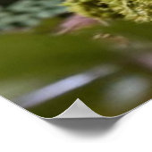Das vergoldete Ei der Mystik Poster (Ecke)