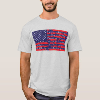Das Versprechen der amerikanischen Legitimationsfl T-Shirt