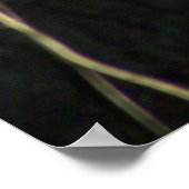 Das versteckte Hirsch Poster (Ecke)
