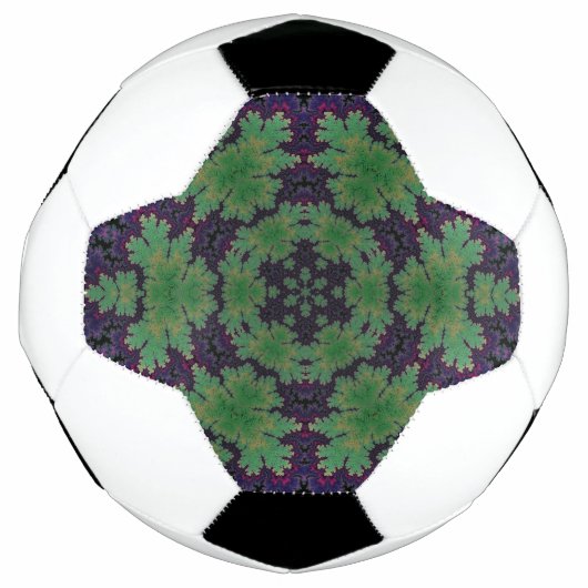 Das verzauberte Heckrad Fußball (Vorderseite)