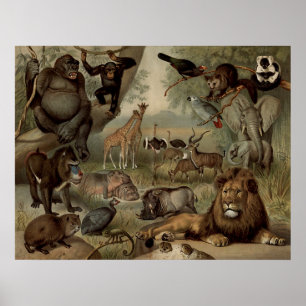 Das Vintage Jungle-Poster Poster