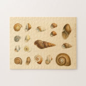 Das Vintage Mollusk-Muschelpuzzle Puzzle (Horizontal)