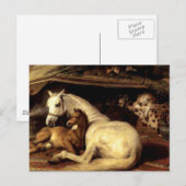 Das Vintage Pferd Postkarte (Vorne/Hinten)