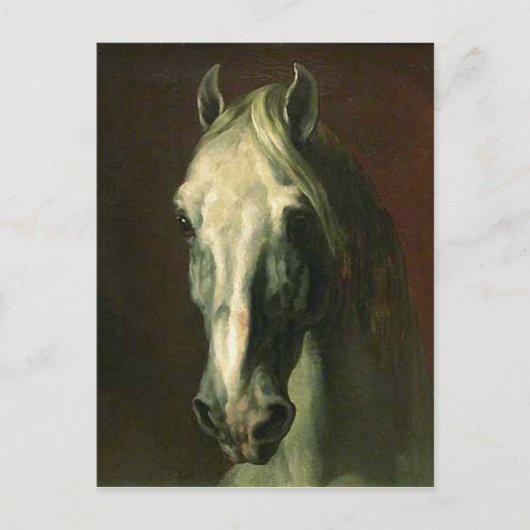 Das Vintage Pferd Postkarte (Vorderseite)