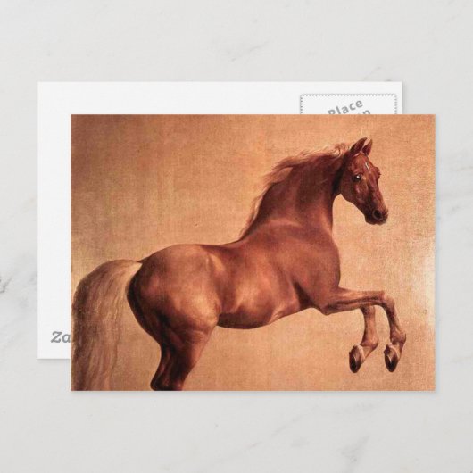 Das Vintage Pferd Postkarte (Vorne/Hinten)