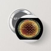 DAS VIRUS 2009 BUTTON (Vorne & Hinten)