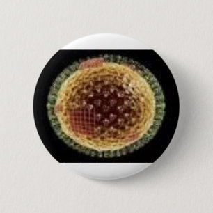 DAS VIRUS 2009 BUTTON