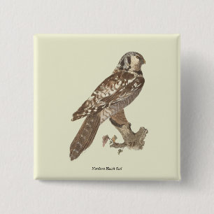Das Vogelbild der Nordfalke (Surnia ulula) Button