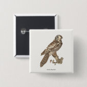Das Vogelbild der Nordfalke (Surnia ulula) Button (Vorne & Hinten)