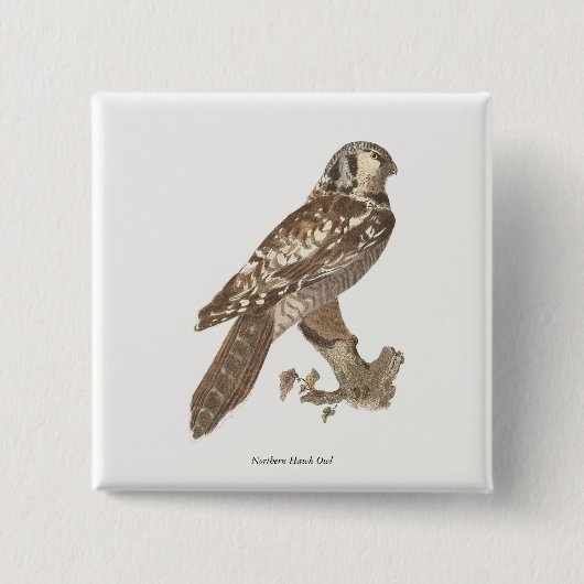 Das Vogelbild der Nordfalke (Surnia ulula) Button (Vorderseite)