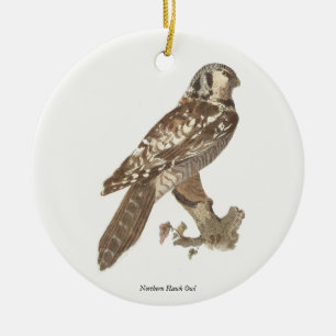 Das Vogelbild der Nordfalke (Surnia ulula) Keramik Ornament