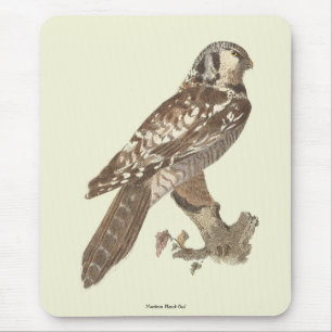 Das Vogelbild der Nordfalke (Surnia ulula) Mousepad