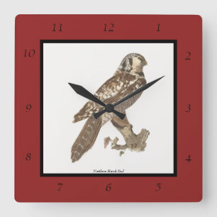 Das Vogelbild der Nordfalke (Surnia ulula) Quadratische Wanduhr