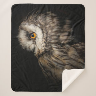 Das wahnsinnige Auge   Owl Lovers Gift Sherpadecke