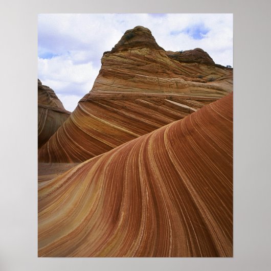 Das Wappen Poster (Vorne)