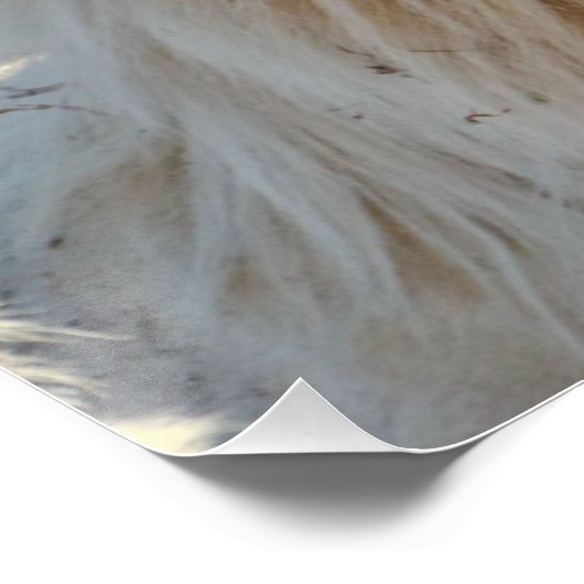 Das war ein seltsamer Traum Poster (Ecke)