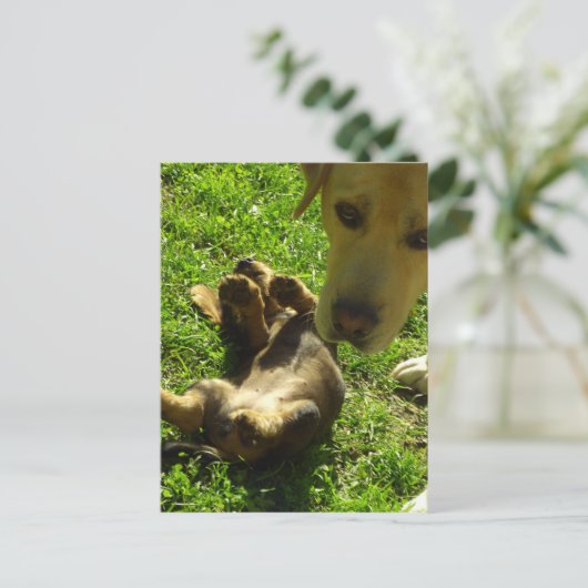 Das war nicht ich postkarte (Stehend Vorderseite)