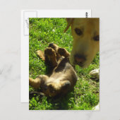 Das war nicht ich postkarte (Vorne/Hinten)