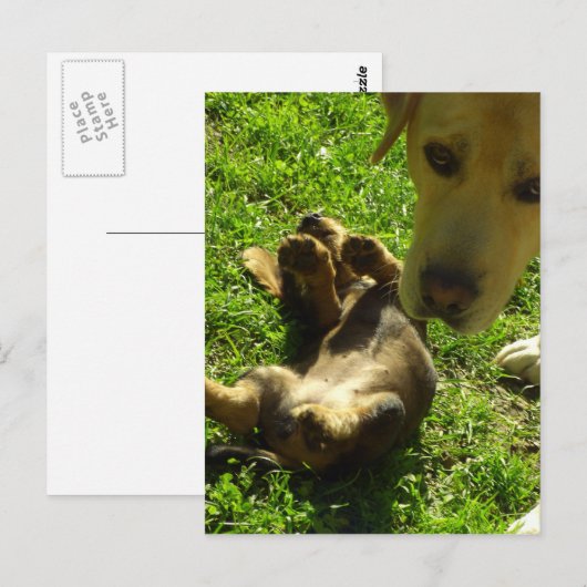 Das war nicht ich postkarte (Vorne/Hinten)