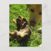 Das war nicht ich postkarte (Vorderseite)