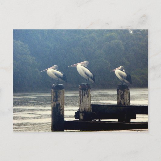 das Warten Postkarte (Vorderseite)