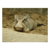 Das Warthog Fotodruck (Vorne)