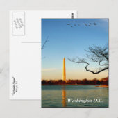 Das Washington Monument Postkarte (Vorne/Hinten)