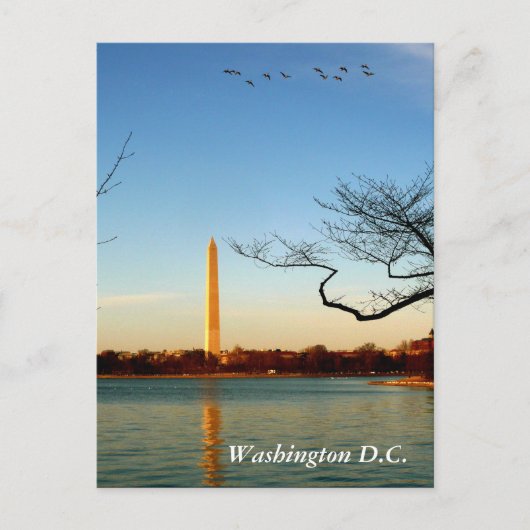 Das Washington Monument Postkarte (Vorderseite)