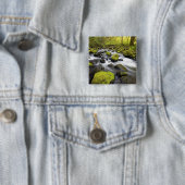 Das Wasser, das durch Moos fließt, bedeckte Felsen Button (Beispiel)