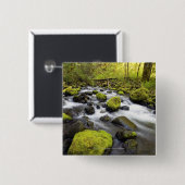 Das Wasser, das durch Moos fließt, bedeckte Felsen Button (Vorne & Hinten)