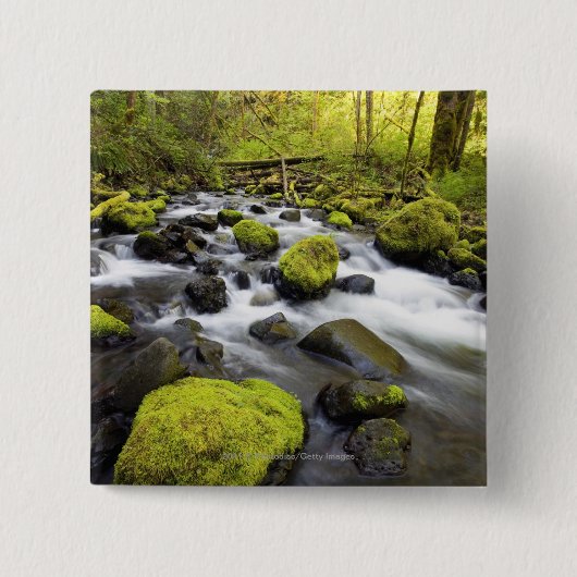 Das Wasser, das durch Moos fließt, bedeckte Felsen Button (Vorderseite)