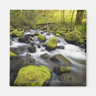 Das Wasser, das durch Moos fließt, bedeckte Felsen Magnet