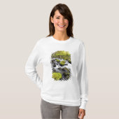 Das Wasser, das durch Moos fließt, bedeckte Felsen T-Shirt (Vorne ganz)