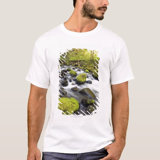 Das Wasser, das durch Moos fließt, bedeckte Felsen T-Shirt (Vorderseite)